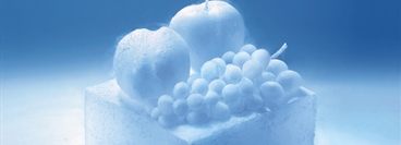 Dry Ice sculpture, fruits
- only to be used on promotion of ICEBITZZZ
